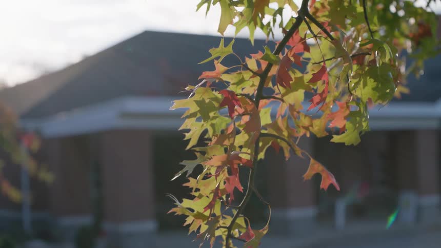 A bank is being filmed behind a tree with fall colors