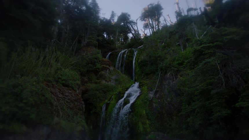 Water flows down a stream in the forest