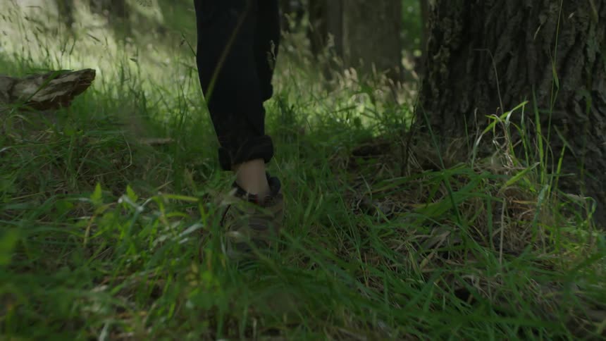 Person walks through the woods on a sunny day