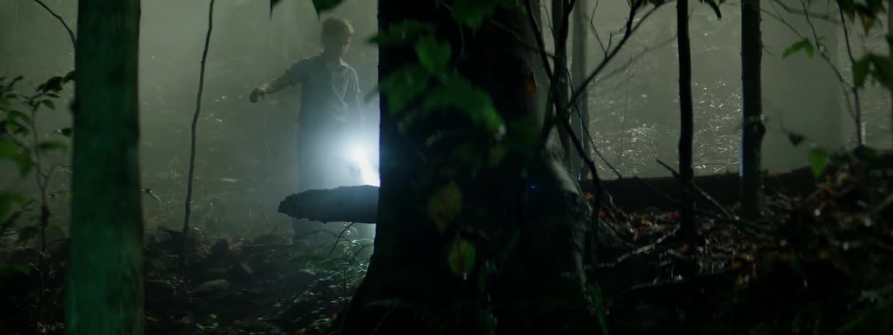 A boy shining a flashlight while walking in the woods