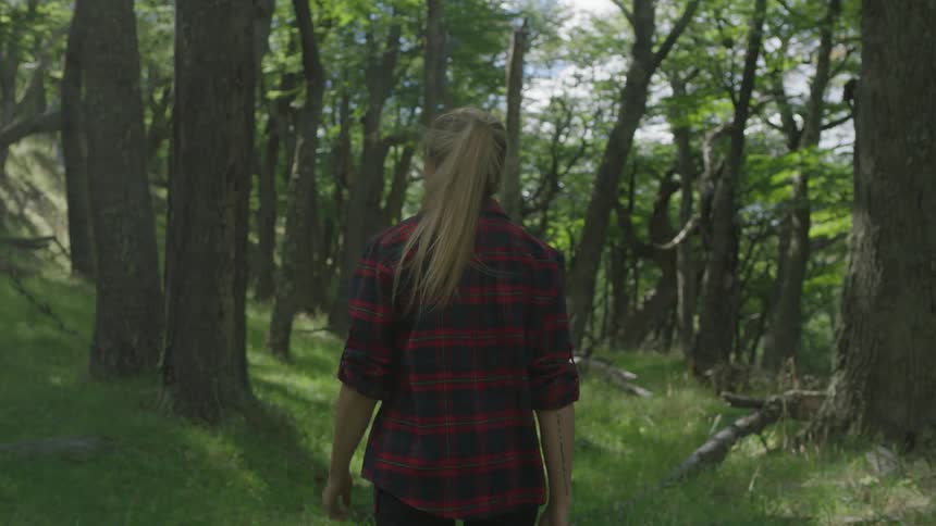 A woman hikes in the forest on a sunny day