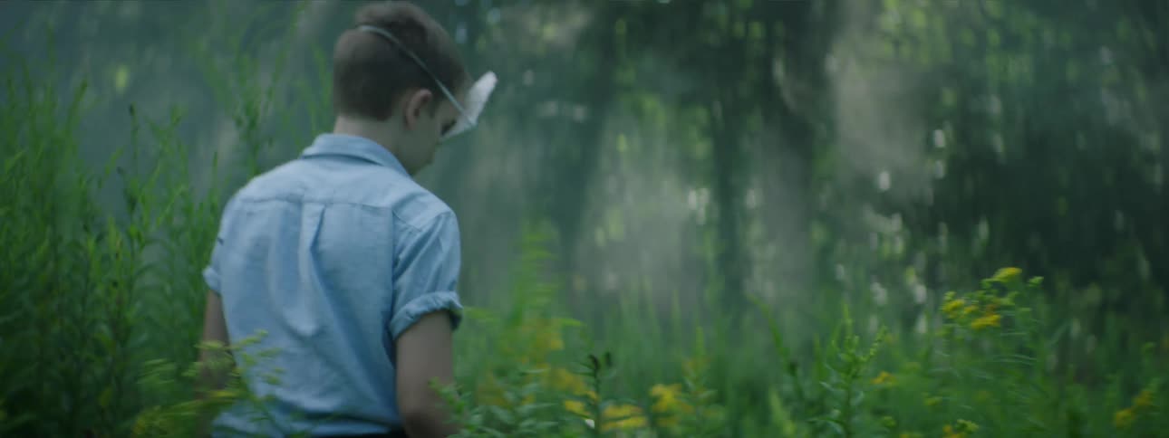 A boy walks through the woods