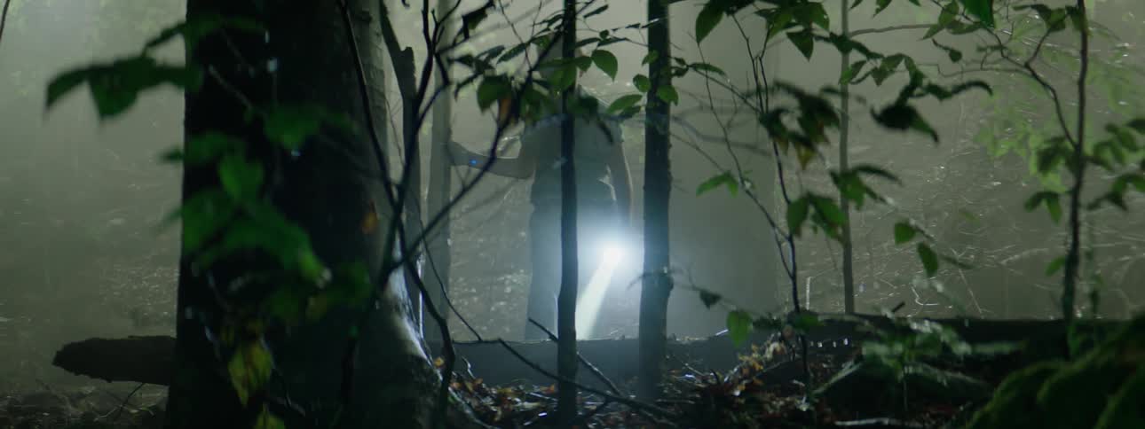 A boy holding a flashlight walks through a forest