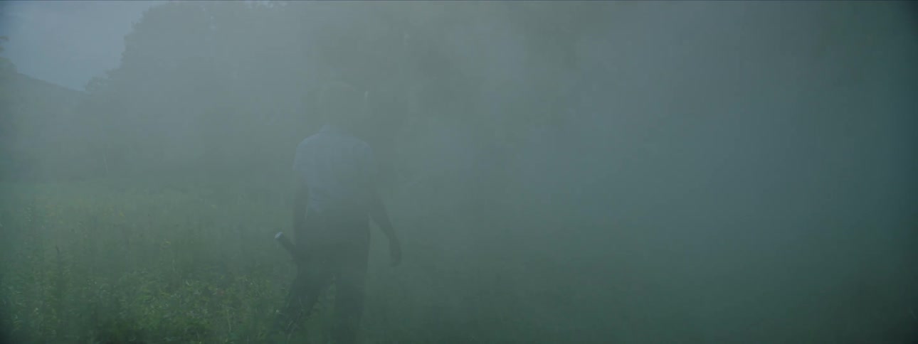 Young boy stands in the foggy marsh while holding a flashlight