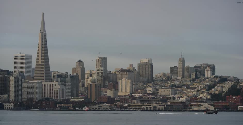 A boat travels by a city