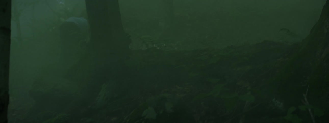 A child is searching in the forest at night