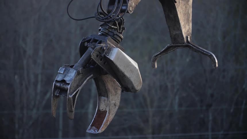 A crane moves outside in a forested area