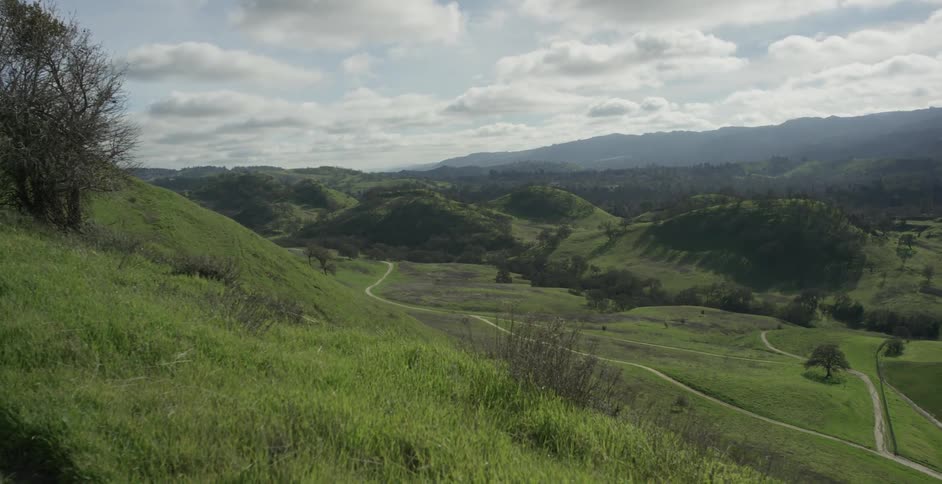 A valley with a path cut through it