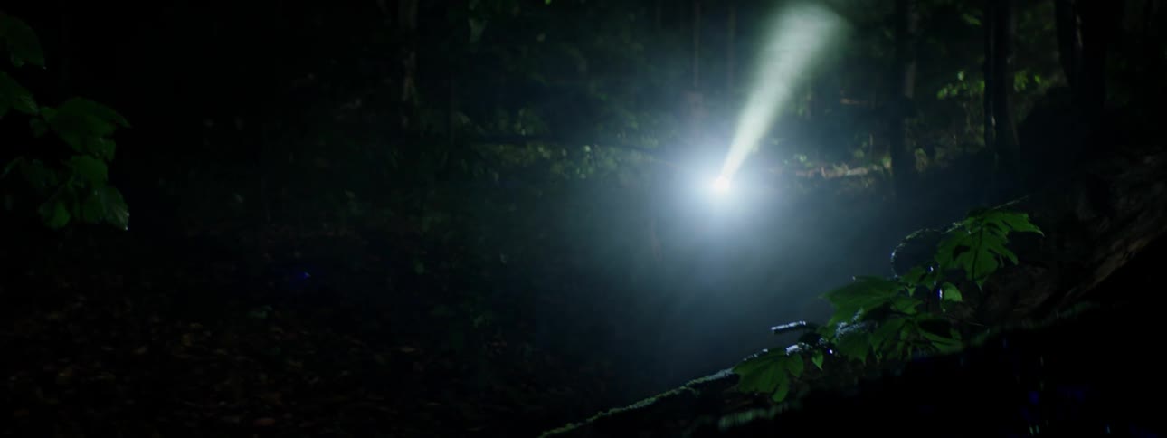 Person carries a flashlight outside at night