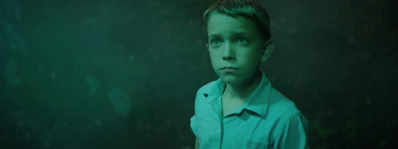 A young boy stands in mist and looks upward