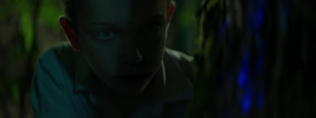A child in the woods at night