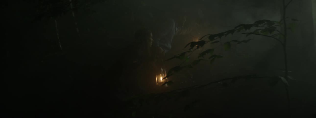 People holding lanterns walk through a misty forest