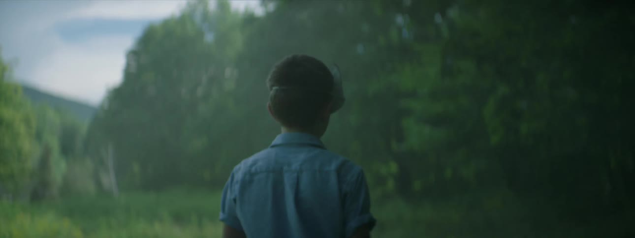 Young boy walks through the grass towards the forest