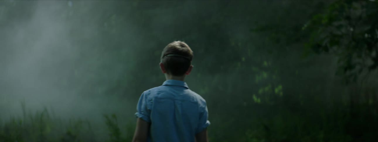 A boy wearing a mask walks towards the forest