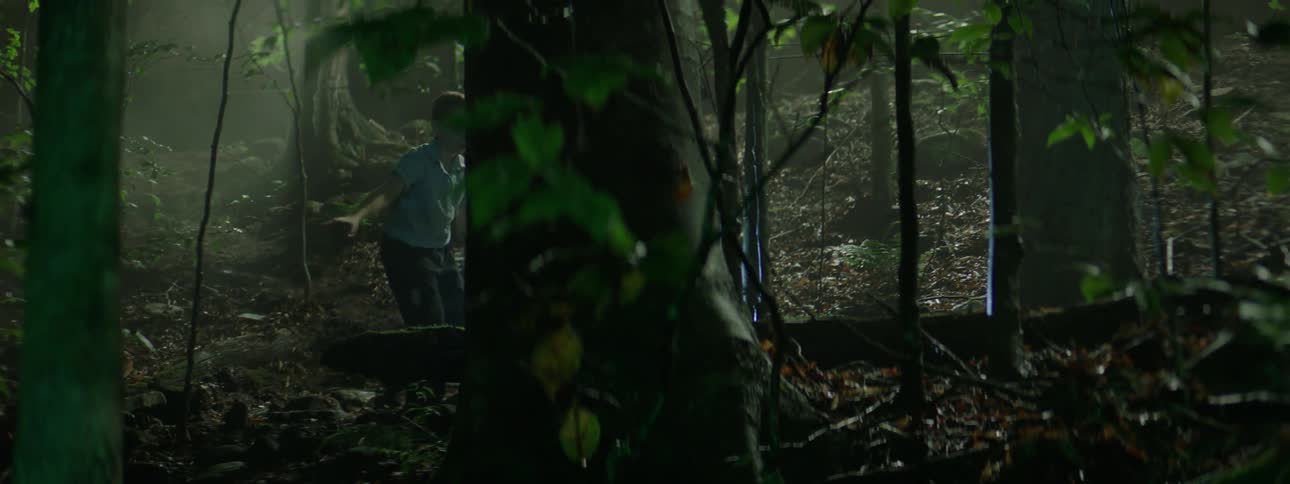 A boy is searching the forest with a flashlight