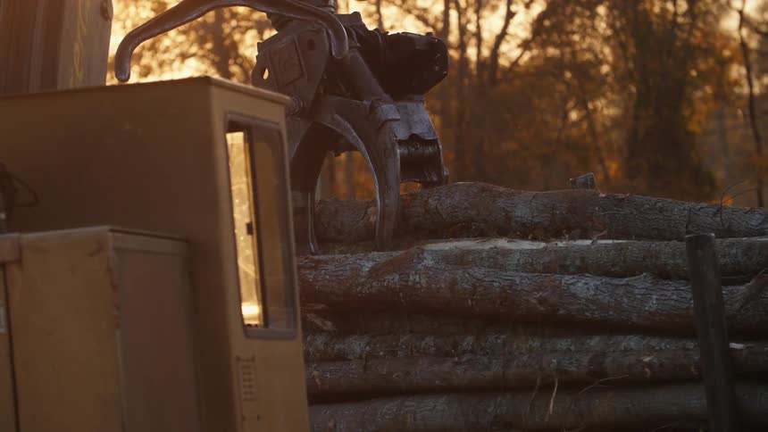 A machine in placing a log on top of a log pile