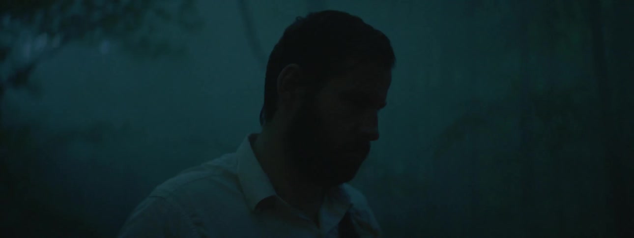 A man stands in a misty forest at night