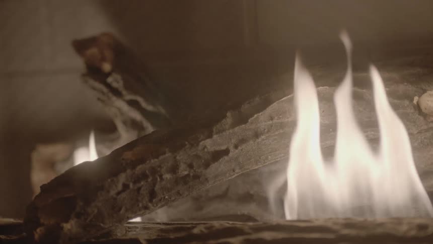 A fire burning in a fireplace
