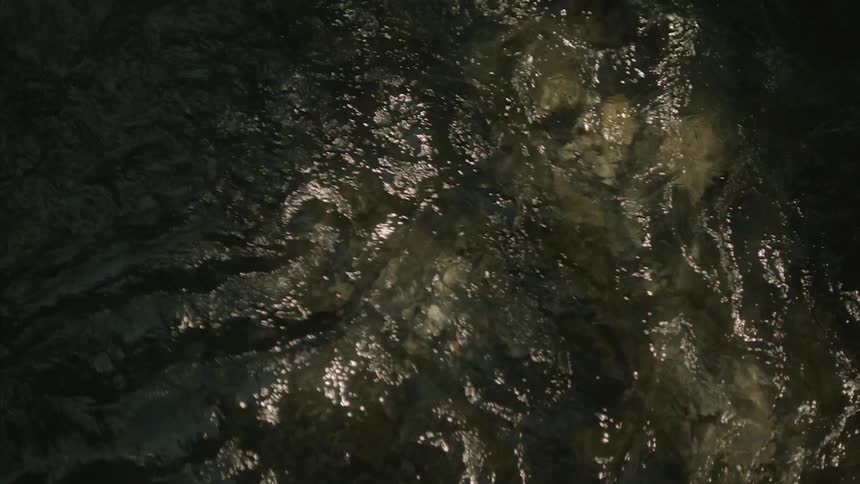 Water flows in a riverbed
