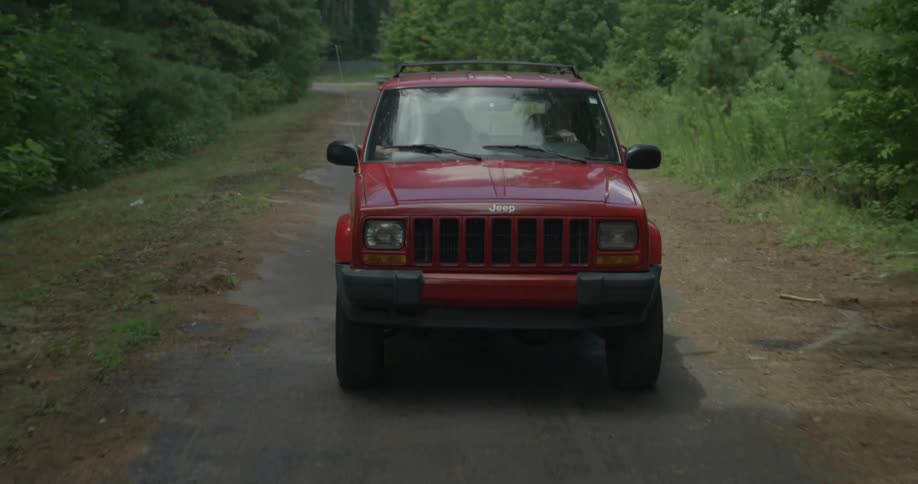 People in jeep traveling on old road surrounded by bushes and trees