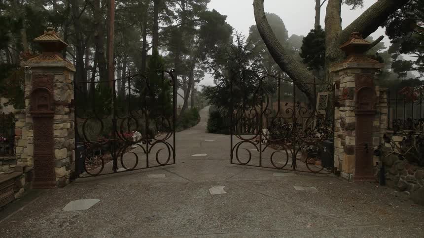 Large gate opening to driveway surrounded by trees