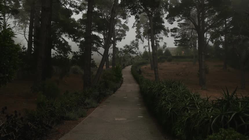 A small trail runs through the garden