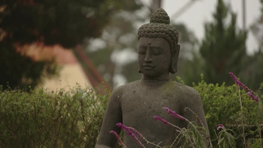 Statue surrounded by weeds