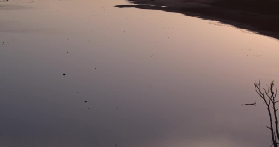 The sky and a tree reflection are being filmed in water before the camera pans to show the shore line