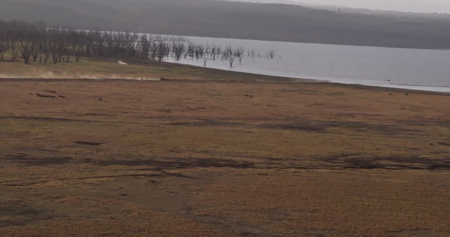 A vehicle kicks up dust as it drives toward a shoreline