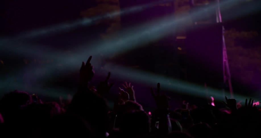 A crowd cheers at a concert