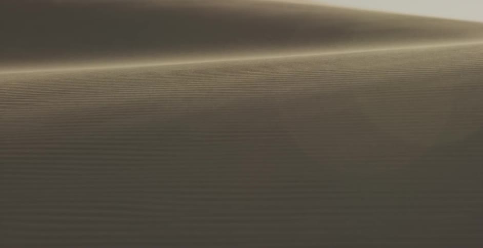 The wind is blowing waves of sand in the desert