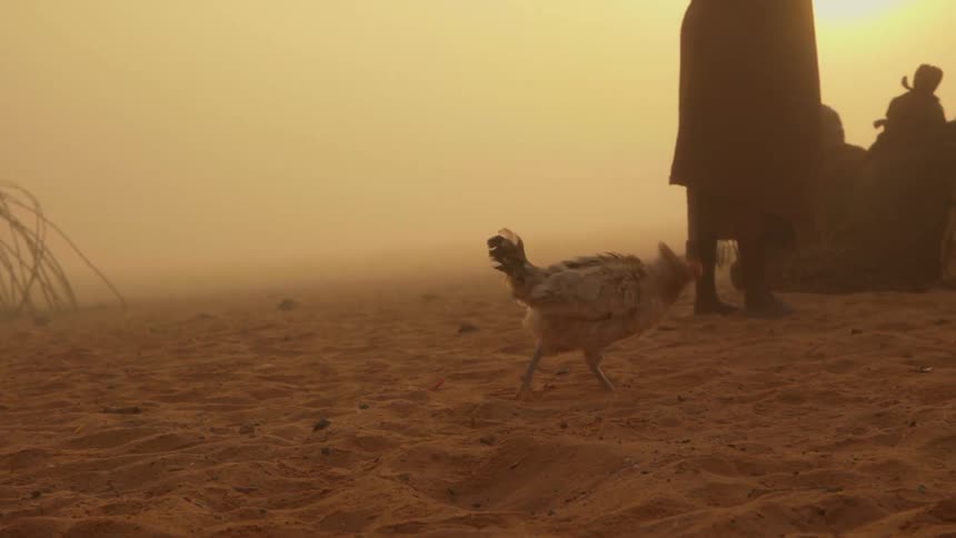 A chicken and a group of people are sitting outside a tent in the desert