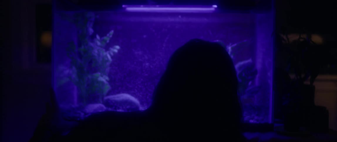 Man looks at an aquarium with his hand on the glass