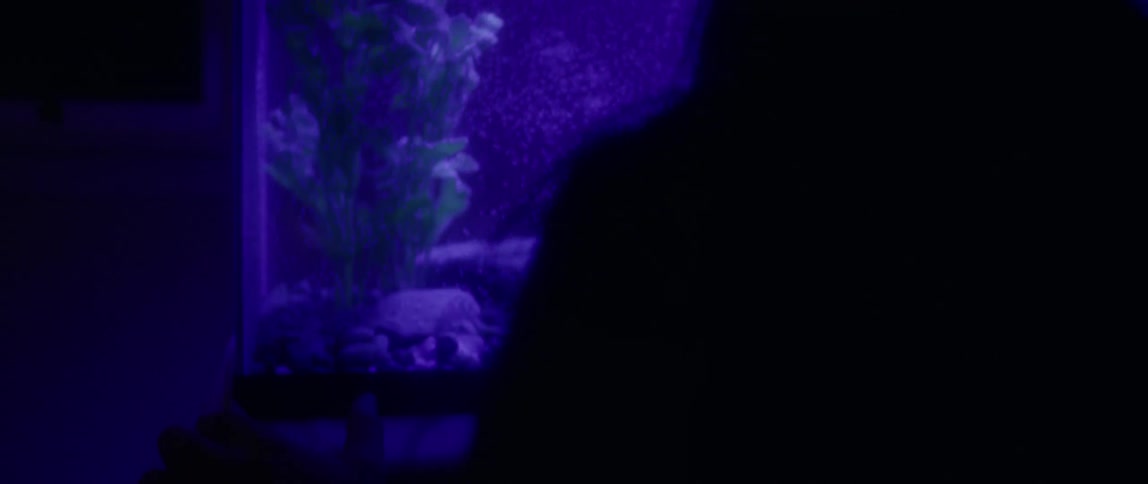 A man touches the glass of and looks into a fish tank