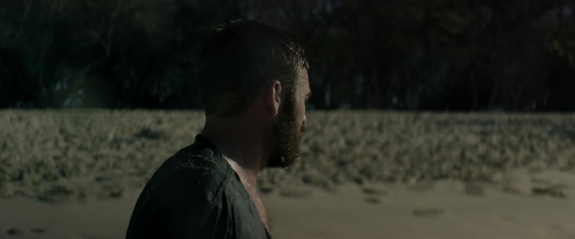 A man walking on a beach looks into the trees then back to the ocean