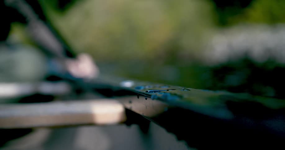 A person rows a boat on a body of water