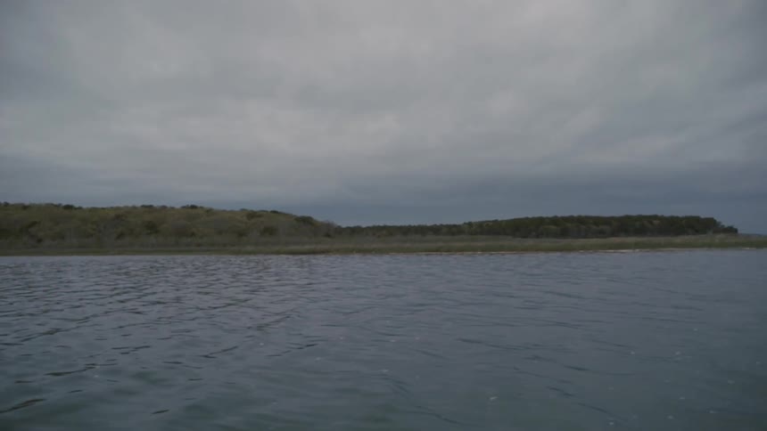 A boat floats on a body of water