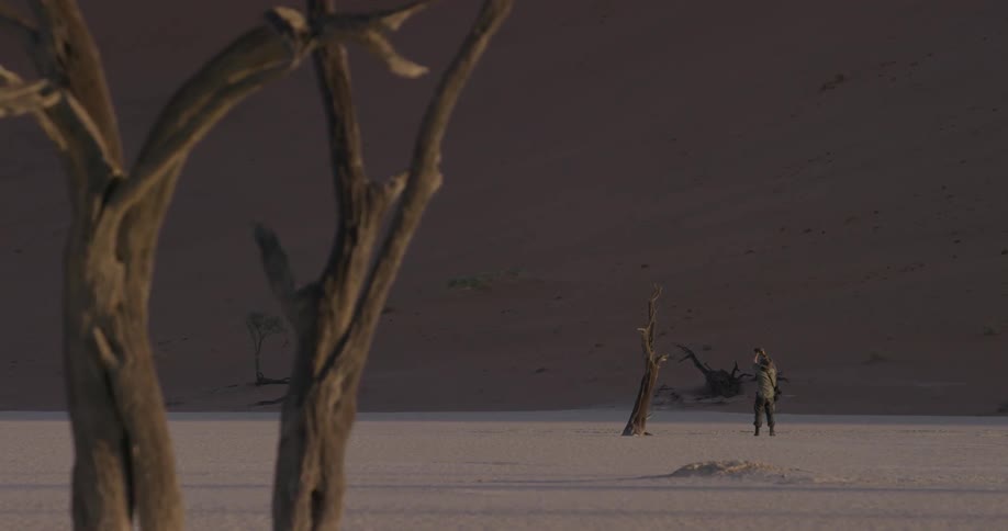 A person is photographing a long desert