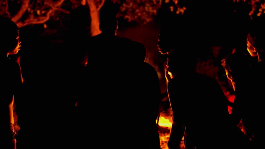 People are celebrating around a campfire