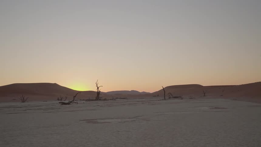 The sun sets behind sand dunes and dead tree landscape
