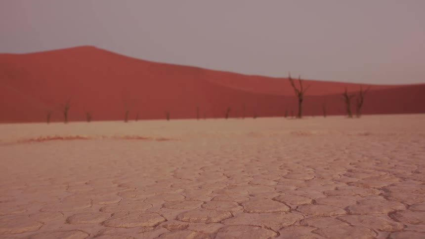 Sand covers the desert landscape
