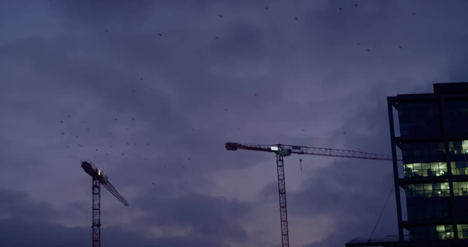 The buildings are bright at night with cranes above
