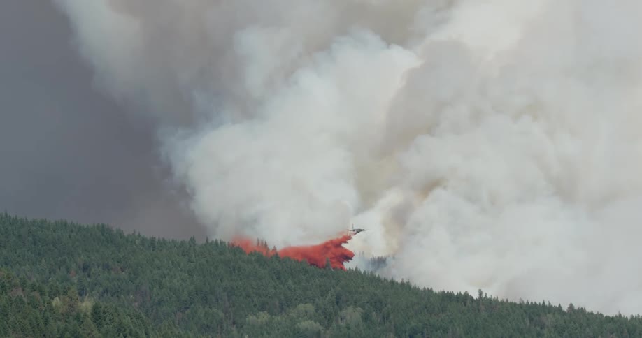 The plan flies past the forest fire to drop water
