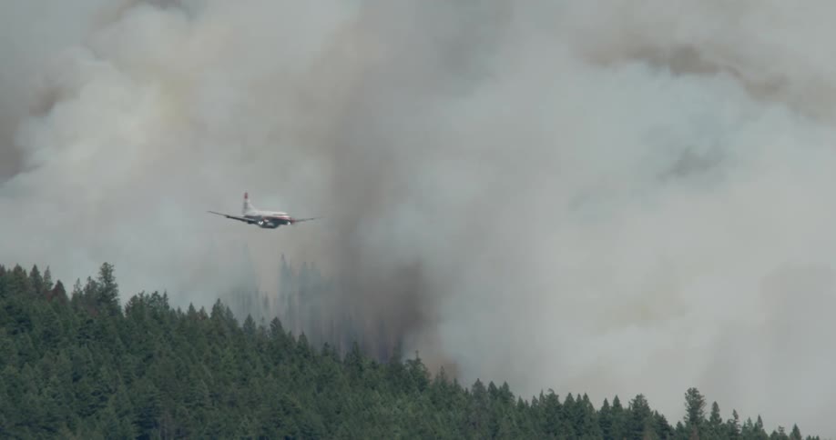 The plane flies towards the forest fire