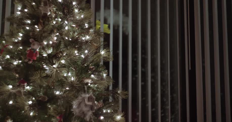 Lighted christmas tree indoors at night
