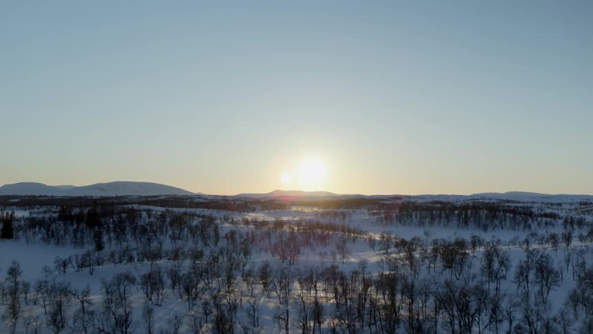 The snow covered field leads to a forest