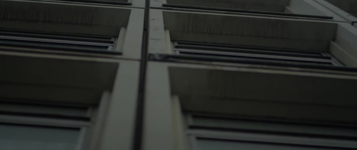 Windows cover a tall building