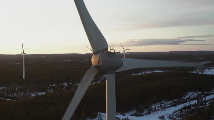 Many spinning windmills at sunrise