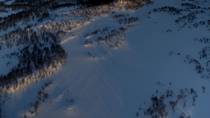 Aerial view of snow and trees