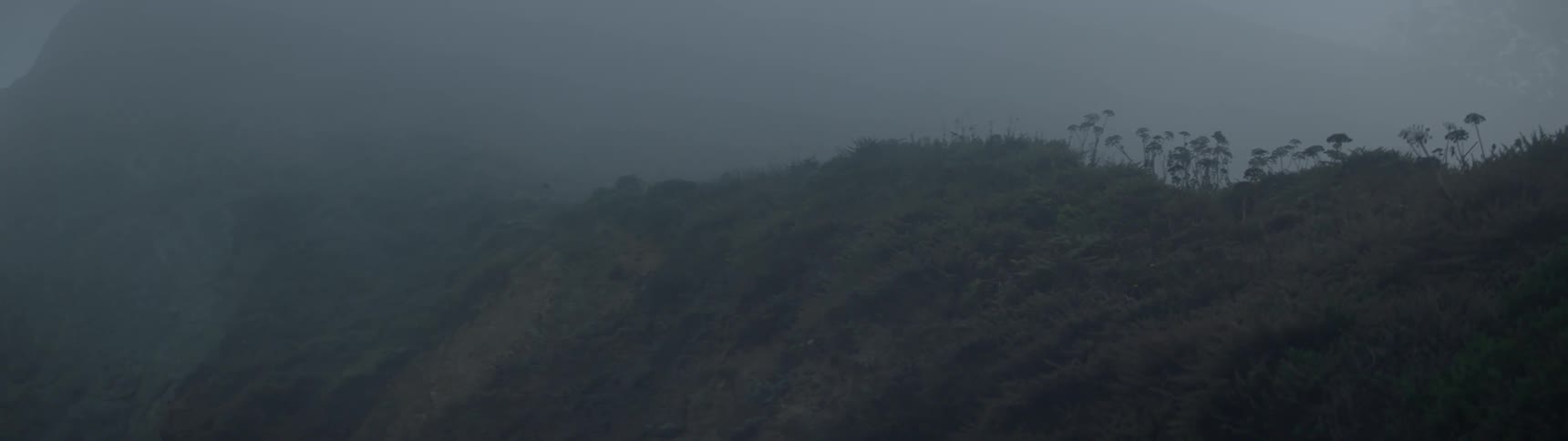 Mist floats over a grassy hill